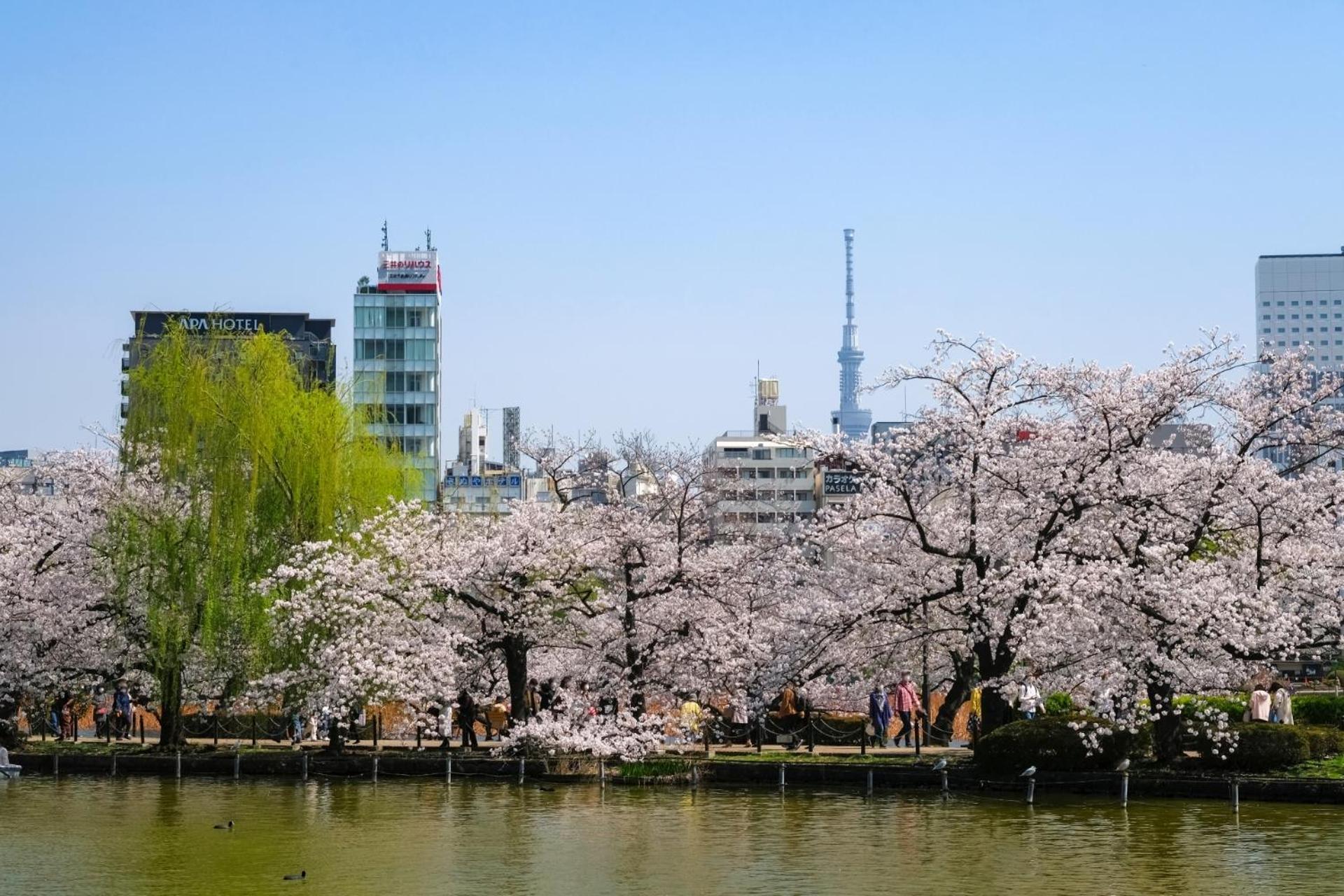 Stayme The Hotel Ueno Tokio Zewnętrze zdjęcie